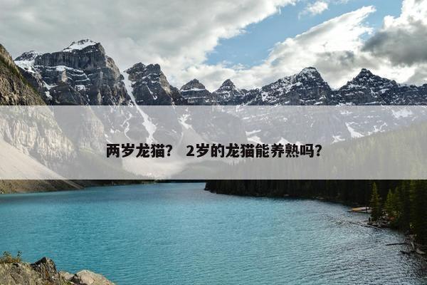 两岁龙猫？ 2岁的龙猫能养熟吗？