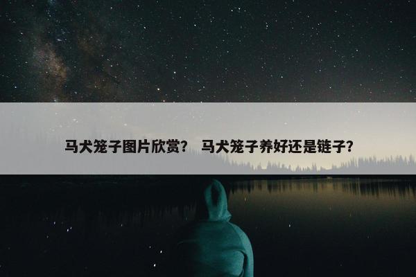 马犬笼子图片欣赏？ 马犬笼子养好还是链子？
