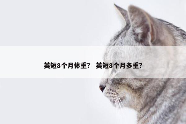 英短8个月体重？ 英短8个月多重？