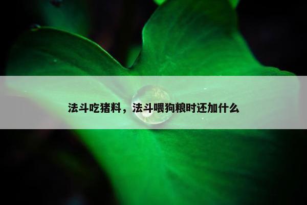 法斗吃猪料，法斗喂狗粮时还加什么