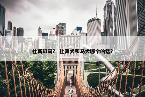 杜宾斑马？ 杜宾犬和马犬哪个凶猛？