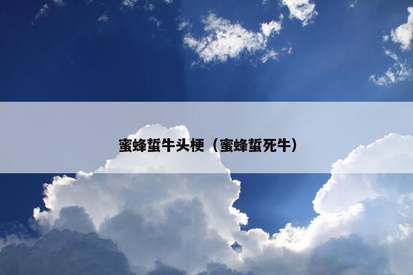 蜜蜂蜇牛头梗（蜜蜂蜇死牛）