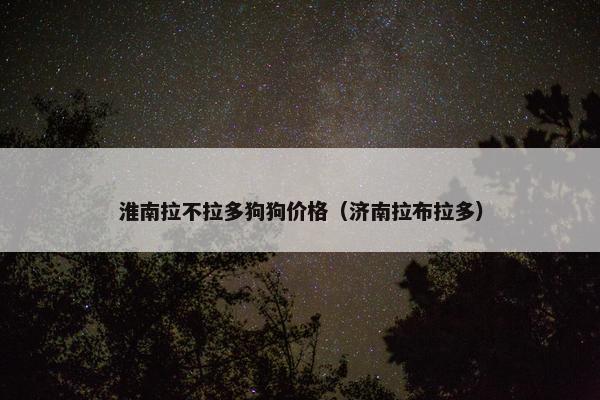 淮南拉不拉多狗狗价格（济南拉布拉多）