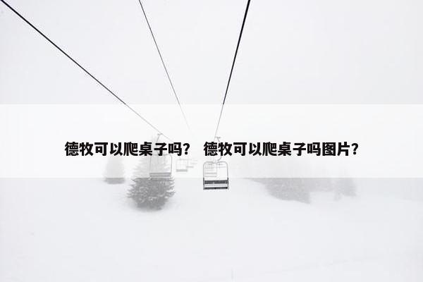 德牧可以爬桌子吗？ 德牧可以爬桌子吗图片？