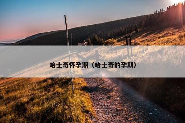 哈士奇怀孕期（哈士奇的孕期）