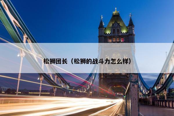 松狮团长（松狮的战斗力怎么样）