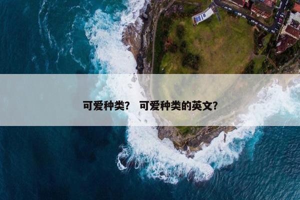 可爱种类？ 可爱种类的英文？