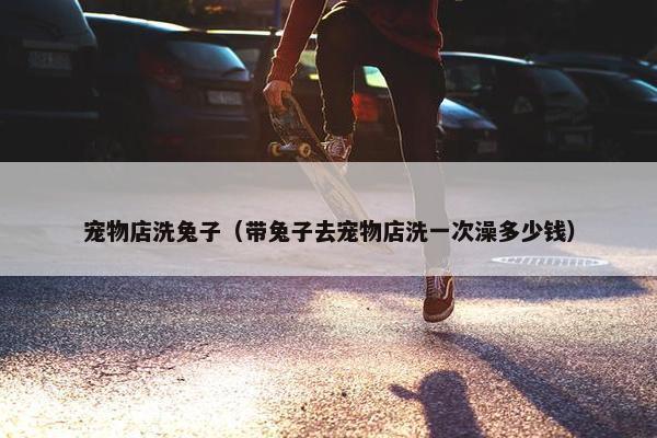 宠物店洗兔子（带兔子去宠物店洗一次澡多少钱）