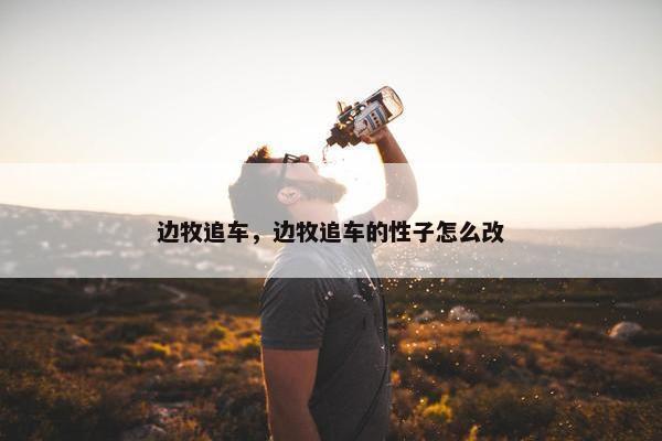 边牧追车，边牧追车的性子怎么改