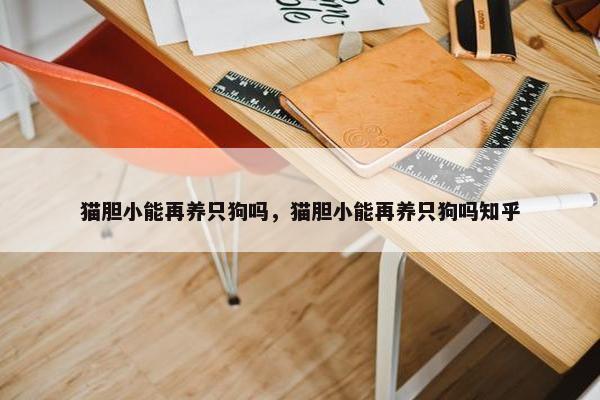 猫胆小能再养只狗吗，猫胆小能再养只狗吗知乎