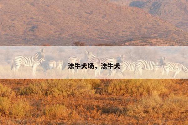 法牛 第25页