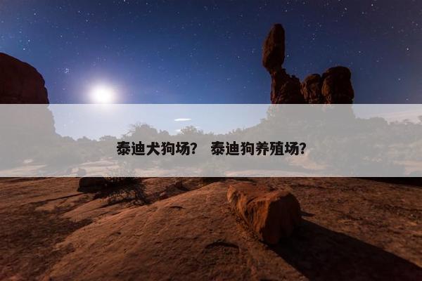泰迪犬狗场？ 泰迪狗养殖场？