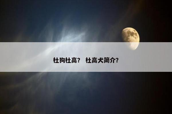 最强