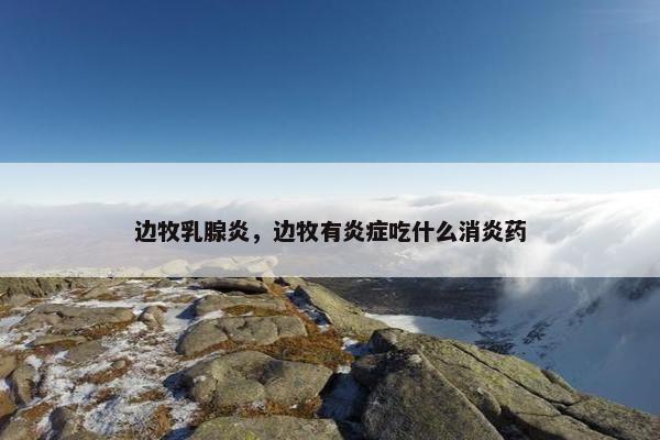 边牧乳腺炎，边牧有炎症吃什么消炎药