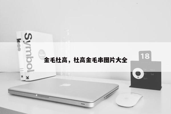 金毛杜高，杜高金毛串图片大全