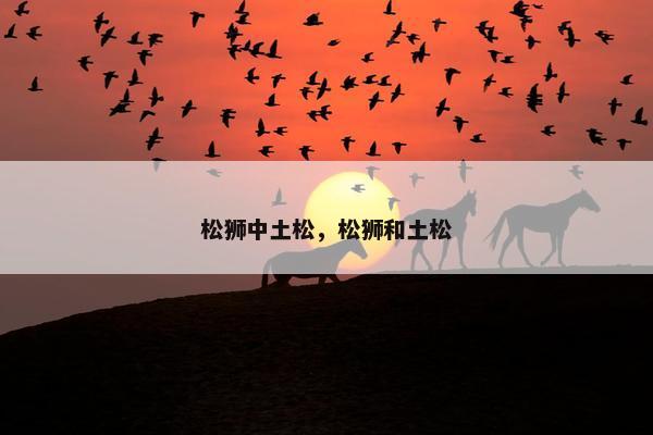 松狮中土松，松狮和土松