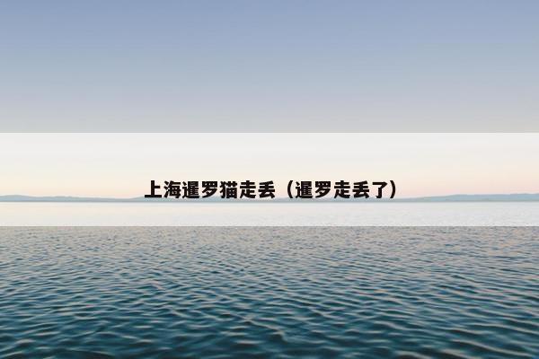 上海暹罗猫走丢（暹罗走丢了）