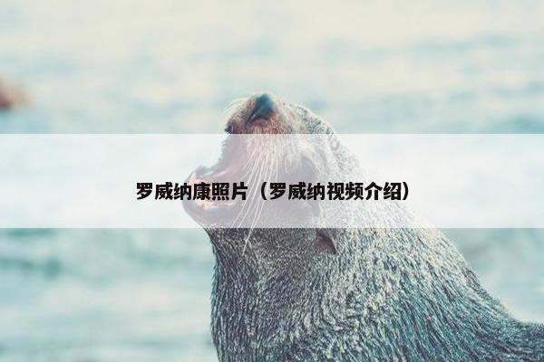 罗威纳康照片（罗威纳视频介绍）