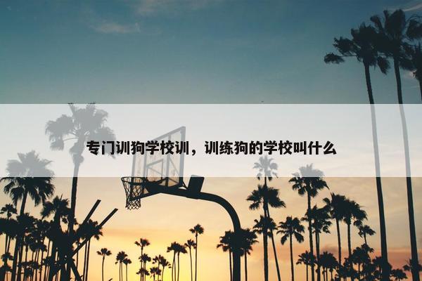 专门训狗学校训，训练狗的学校叫什么
