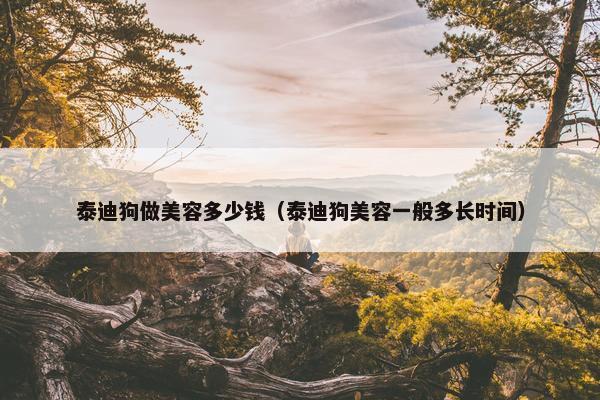 泰迪狗做美容多少钱（泰迪狗美容一般多长时间）