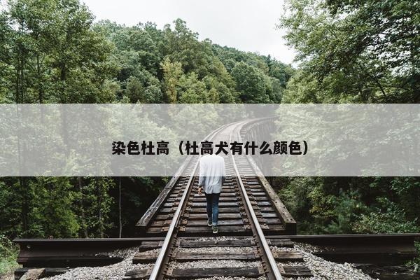 染色杜高（杜高犬有什么颜色）
