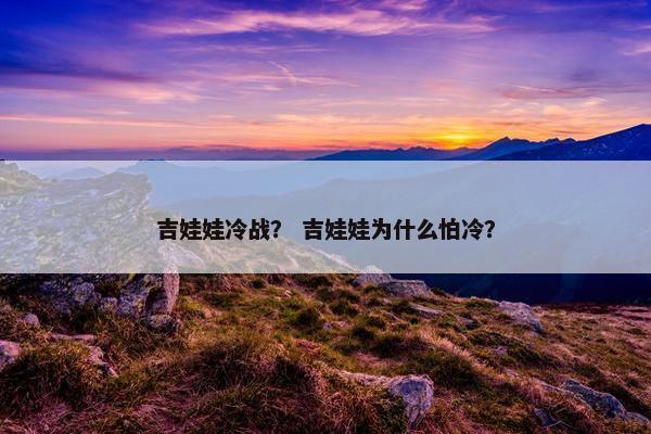 吉娃娃冷战？ 吉娃娃为什么怕冷？