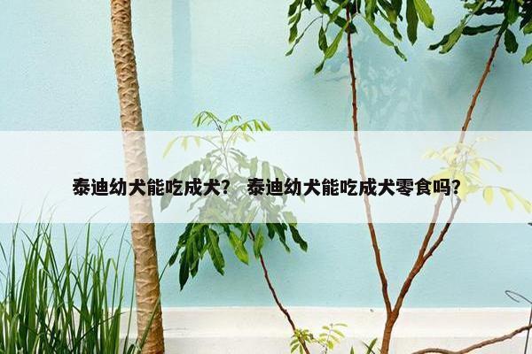 泰迪幼犬能吃成犬？ 泰迪幼犬能吃成犬零食吗？