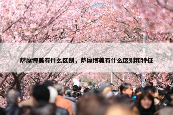 萨摩博美有什么区别，萨摩博美有什么区别和特征