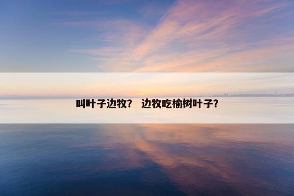 叫叶子边牧？ 边牧吃榆树叶子？
