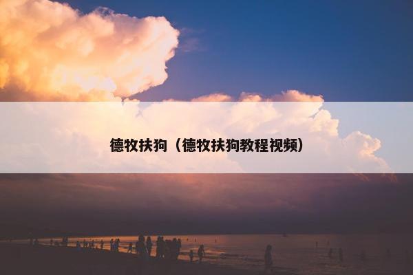 德牧扶狗（德牧扶狗教程视频）