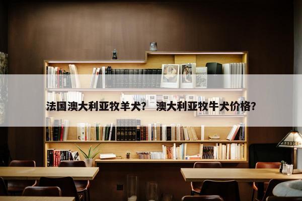 法国澳大利亚牧羊犬？ 澳大利亚牧牛犬价格？