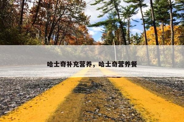 哈士奇补充营养，哈士奇营养餐