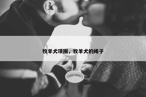 牧羊犬项圈，牧羊犬的绳子