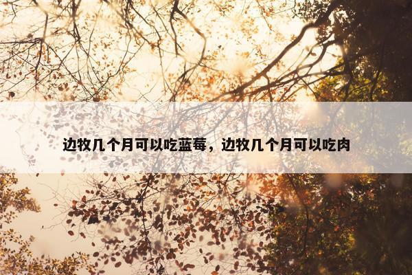边牧几个月可以吃蓝莓，边牧几个月可以吃肉