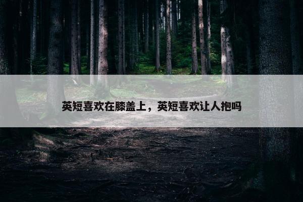 英短喜欢在膝盖上，英短喜欢让人抱吗