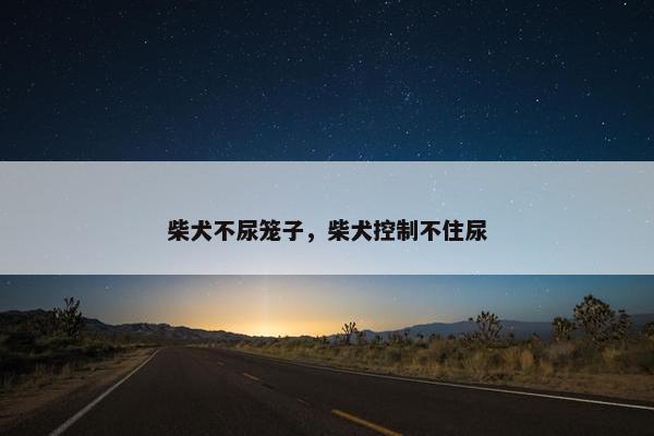 柴犬不尿笼子，柴犬控制不住尿