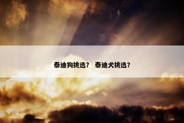 泰迪狗挑选？ 泰迪犬挑选？