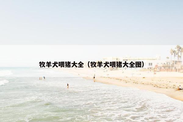 牧羊犬喂猪大全（牧羊犬喂猪大全图）