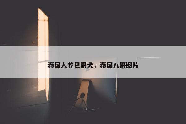泰国人养巴哥犬，泰国八哥图片