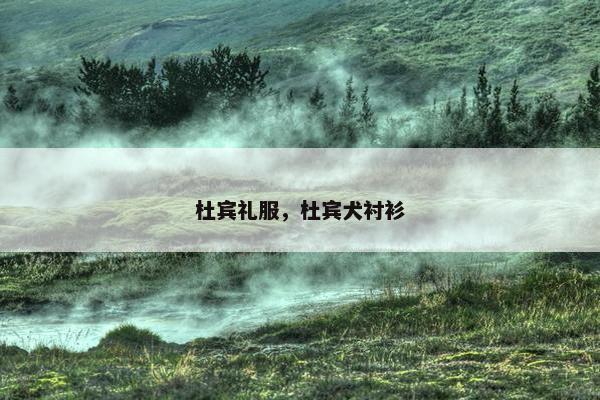 杜宾礼服，杜宾犬衬衫