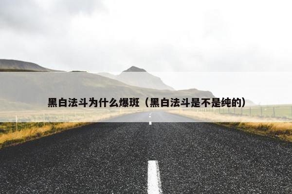 黑白法斗为什么爆斑（黑白法斗是不是纯的）