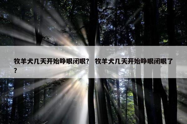 牧羊犬几天开始睁眼闭眼？ 牧羊犬几天开始睁眼闭眼了？