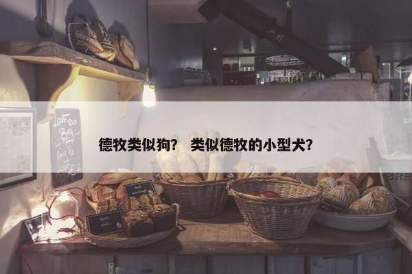 德牧类似狗？ 类似德牧的小型犬？