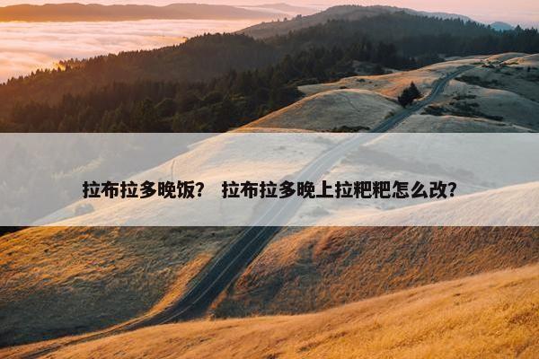 拉布拉多晚饭？ 拉布拉多晚上拉粑粑怎么改？