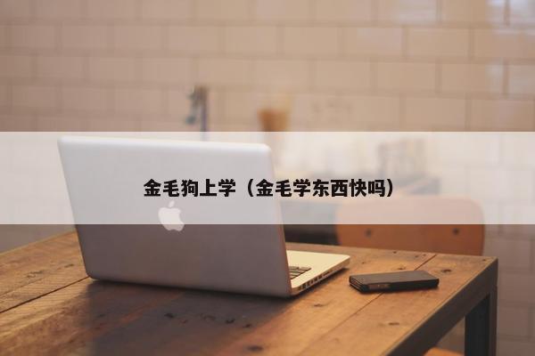 金毛狗上学（金毛学东西快吗）