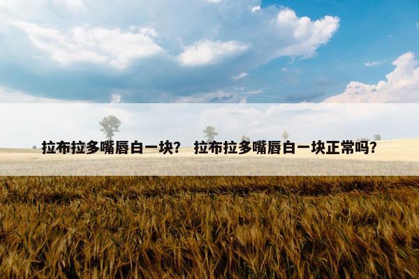 拉布拉多嘴唇白一块？ 拉布拉多嘴唇白一块正常吗？