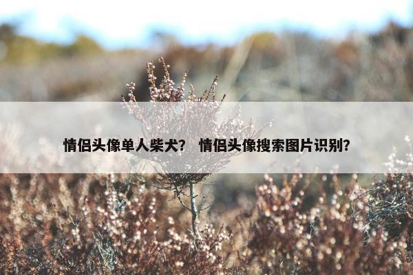 情侣头像单人柴犬？ 情侣头像搜索图片识别？