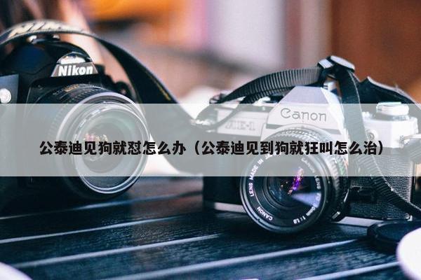 如果 第4页