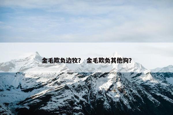金毛欺负边牧？ 金毛欺负其他狗？