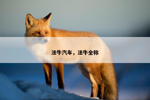 法牛汽车，法牛全称